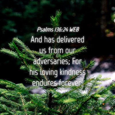 Picture 04 - Psalms 136:24 WEB - And has delivered us from our adversaries; For - Bible Verse Picture
