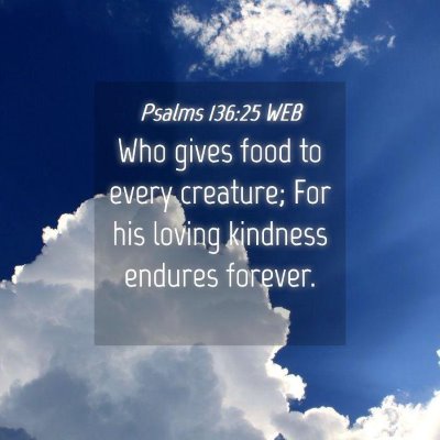 Picture 04 - Psalms 136:25 WEB - Who gives food to every creature; For his loving - Bible Verse Picture