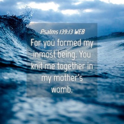 Picture 04 - Psalms 139:13 WEB - For you formed my inmost being. You knit me - Bible Verse Picture