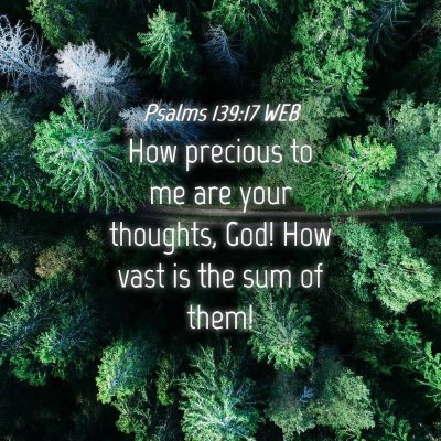 Picture 04 - Psalms 139:17 WEB - How precious to me are your thoughts, God! How - Bible Verse Picture