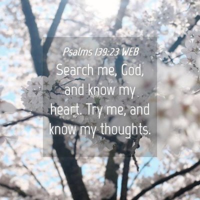 Picture 04 - Psalms 139:23 WEB - Search me, God, and know my heart. Try me, and - Bible Verse Picture