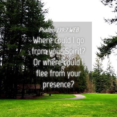 Picture 04 - Psalms 139:7 WEB - Where could I go from your Spirit? Or where could - Bible Verse Picture