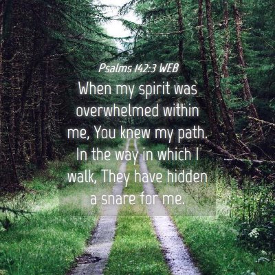 Picture 04 - Psalms 142:3 WEB - When my spirit was overwhelmed within me, You - Bible Verse Picture