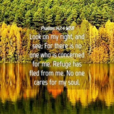 Picture 04 - Psalms 142:4 WEB - Look on my right, and see; For there is no one - Bible Verse Picture