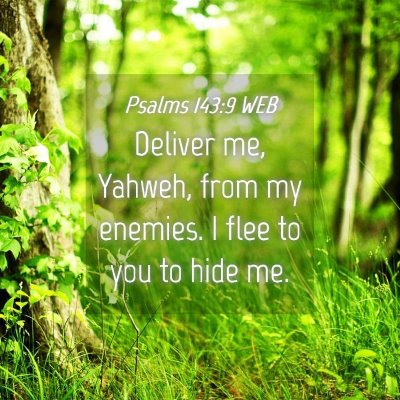 Picture 04 - Psalms 143:9 WEB - Deliver me, Yahweh, from my enemies. I flee to - Bible Verse Picture