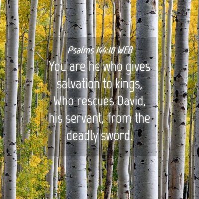 Picture 04 - Psalms 144:10 WEB - You are he who gives salvation to kings, Who - Bible Verse Picture