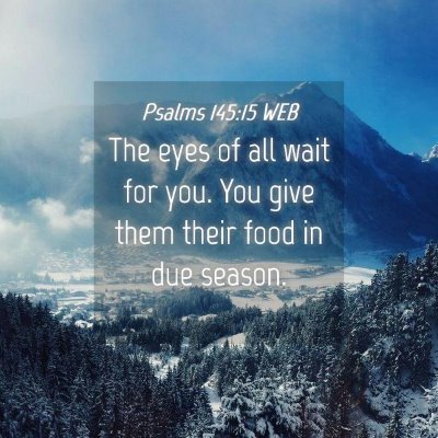 Picture 04 - Psalms 145:15 WEB - The eyes of all wait for you. You give them their - Bible Verse Picture