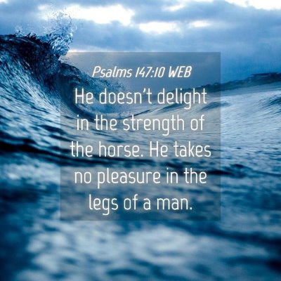 Picture 04 - Psalms 147:10 WEB - He doesn't delight in the strength of the horse. - Bible Verse Picture