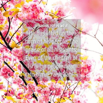 Picture 04 - Psalms 148:14 WEB - He has lifted up the horn of his people, The - Bible Verse Picture