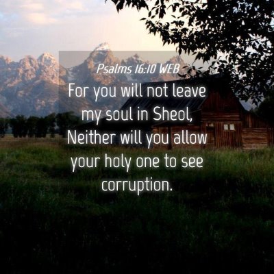 Picture 04 - Psalms 16:10 WEB - For you will not leave my soul in Sheol, Neither - Bible Verse Picture