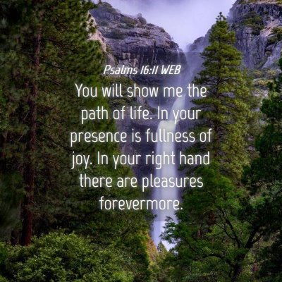 Picture 04 - Psalms 16:11 WEB - You will show me the path of life. In your - Bible Verse Picture