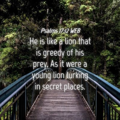 Picture 04 - Psalms 17:12 WEB - He is like a lion that is greedy of his prey, As - Bible Verse Picture