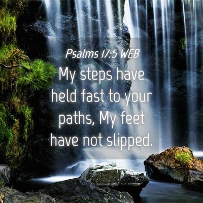 Picture 04 - Psalms 17:5 WEB - My steps have held fast to your paths, My feet - Bible Verse Picture