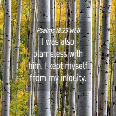 Picture 04 - Psalms 18:23 WEB - I was also blameless with him. I kept myself from - Bible Verse Picture