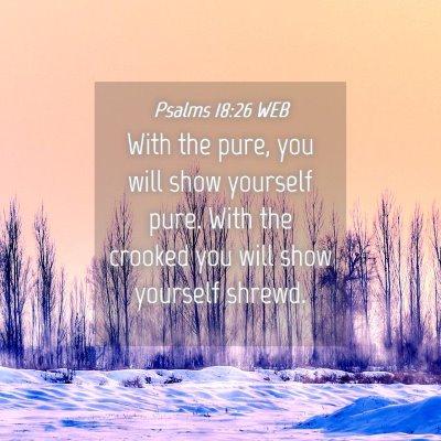 Picture 04 - Psalms 18:26 WEB - With the pure, you will show yourself pure. With - Bible Verse Picture