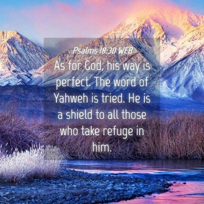 Picture 04 - Psalms 18:30 WEB - As for God, his way is perfect. The word of - Bible Verse Picture