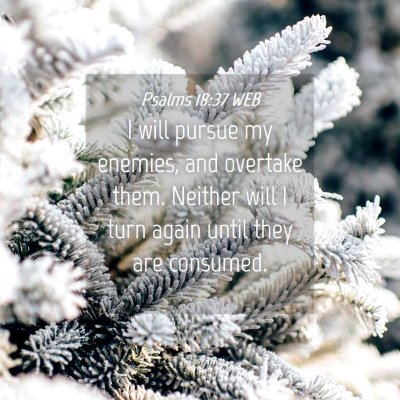Picture 04 - Psalms 18:37 WEB - I will pursue my enemies, and overtake them. - Bible Verse Picture