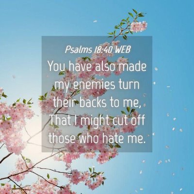 Picture 04 - Psalms 18:40 WEB - You have also made my enemies turn their backs to - Bible Verse Picture
