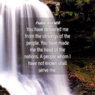 Picture 04 - Psalms 18:43 WEB - You have delivered me from the strivings of the - Bible Verse Picture