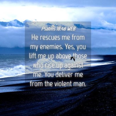 Picture 04 - Psalms 18:48 WEB - He rescues me from my enemies. Yes, you lift me - Bible Verse Picture