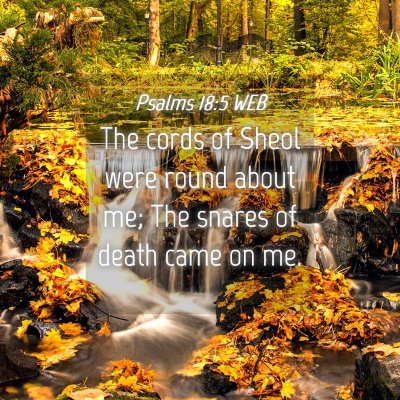 Picture 04 - Psalms 18:5 WEB - The cords of Sheol were round about me; The - Bible Verse Picture