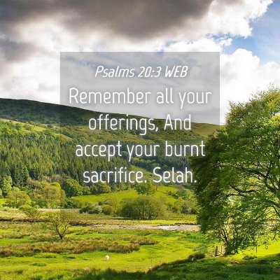 Picture 04 - Psalms 20:3 WEB - Remember all your offerings, And accept your - Bible Verse Picture