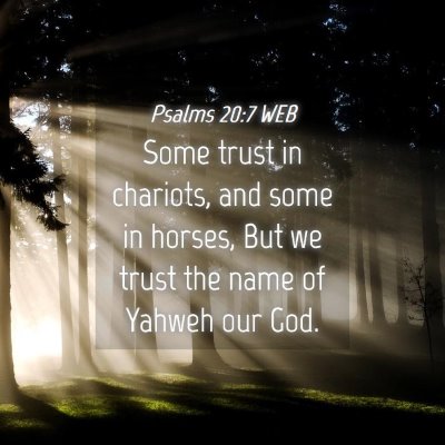 Picture 04 - Psalms 20:7 WEB - Some trust in chariots, and some in horses, But - Bible Verse Picture