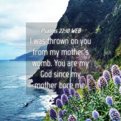 Picture 04 - Psalms 22:10 WEB - I was thrown on you from my mother's womb. You - Bible Verse Picture