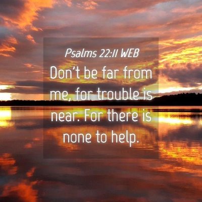 Picture 04 - Psalms 22:11 WEB - Don't be far from me, for trouble is near. For - Bible Verse Picture