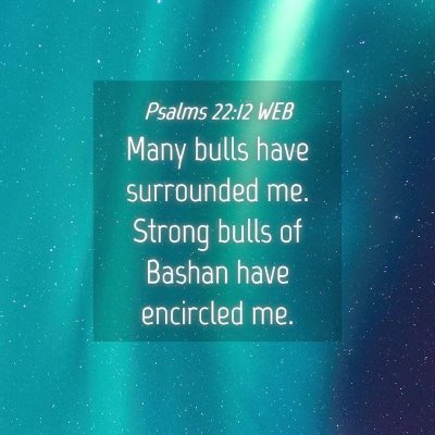 Picture 04 - Psalms 22:12 WEB - Many bulls have surrounded me. Strong bulls of - Bible Verse Picture
