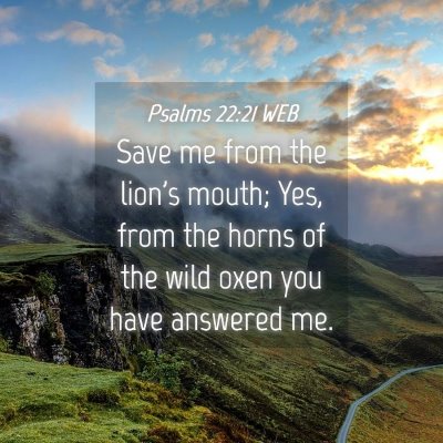 Picture 04 - Psalms 22:21 WEB - Save me from the lion's mouth; Yes, from the - Bible Verse Picture