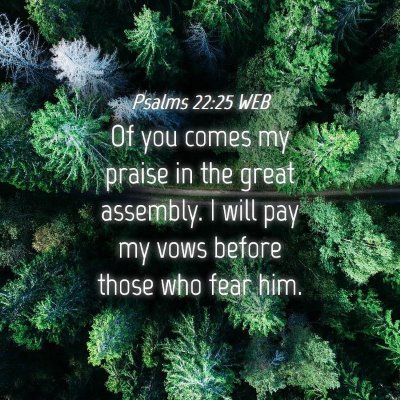 Picture 04 - Psalms 22:25 WEB - Of you comes my praise in the great assembly. I - Bible Verse Picture