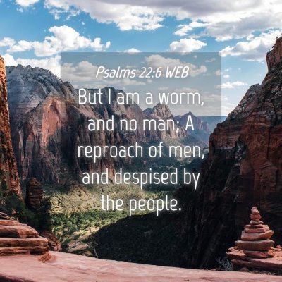 Picture 04 - Psalms 22:6 WEB - But I am a worm, and no man; A reproach of men, - Bible Verse Picture
