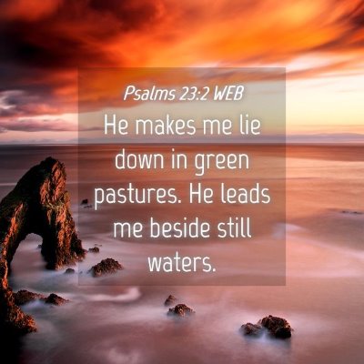 Picture 04 - Psalms 23:2 WEB - He makes me lie down in green pastures. He leads - Bible Verse Picture
