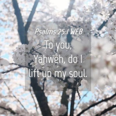 Picture 04 - Psalms 25:1 WEB - To you, Yahweh, do I lift up my - Bible Verse Picture