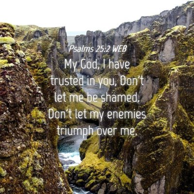 Picture 04 - Psalms 25:2 WEB - My God, I have trusted in you, Don't let me be - Bible Verse Picture