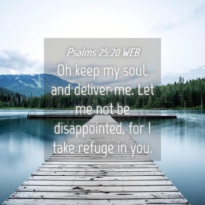 Picture 04 - Psalms 25:20 WEB - Oh keep my soul, and deliver me. Let me not be - Bible Verse Picture