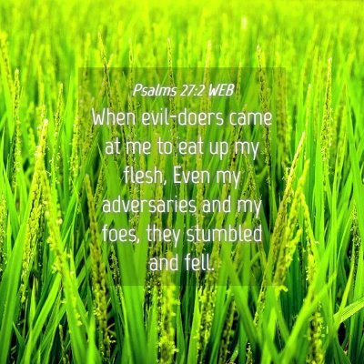 Picture 04 - Psalms 27:2 WEB - When evil-doers came at me to eat up my flesh, - Bible Verse Picture