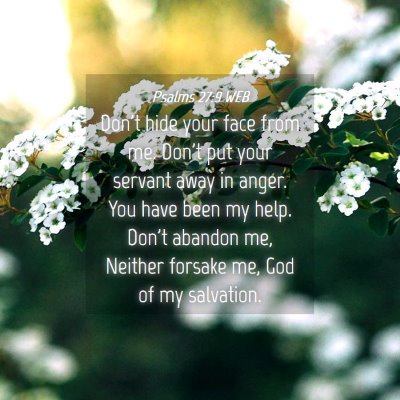 Picture 04 - Psalms 27:9 WEB - Don't hide your face from me. Don't put your - Bible Verse Picture