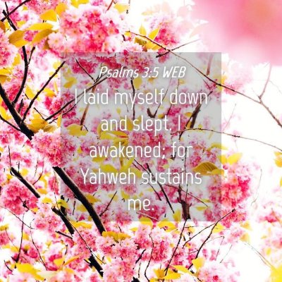 Picture 04 - Psalms 3:5 WEB - I laid myself down and slept. I awakened; for - Bible Verse Picture