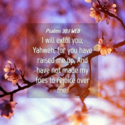 Picture 04 - Psalms 30:1 WEB - I will extol you, Yahweh, for you have raised me - Bible Verse Picture