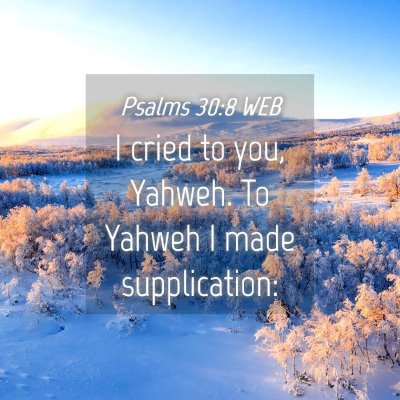 Picture 04 - Psalms 30:8 WEB - I cried to you, Yahweh. To Yahweh I made - Bible Verse Picture
