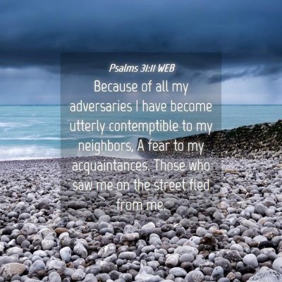 Picture 04 - Psalms 31:11 WEB - Because of all my adversaries I have become - Bible Verse Picture