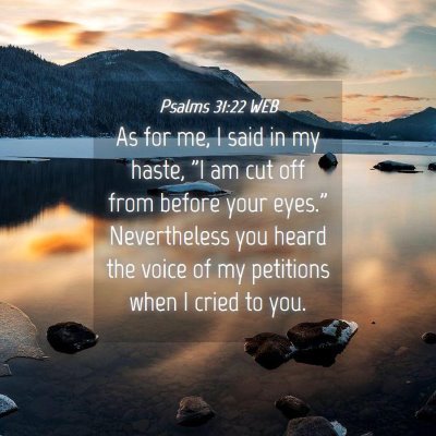 Picture 04 - Psalms 31:22 WEB - As for me, I said in my haste, 