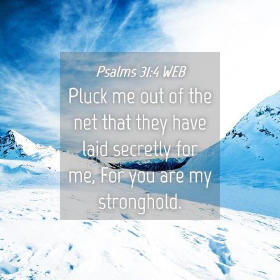 Picture 04 - Psalms 31:4 WEB - Pluck me out of the net that they have laid - Bible Verse Picture
