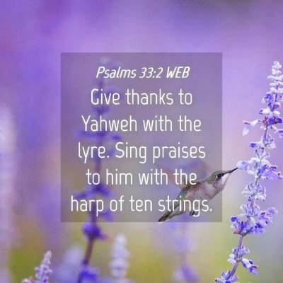 Picture 04 - Psalms 33:2 WEB - Give thanks to Yahweh with the lyre. Sing praises - Bible Verse Picture