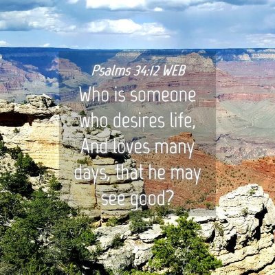 Picture 04 - Psalms 34:12 WEB - Who is someone who desires life, And loves many - Bible Verse Picture