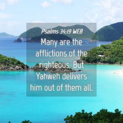 Picture 04 - Psalms 34:19 WEB - Many are the afflictions of the righteous, But - Bible Verse Picture