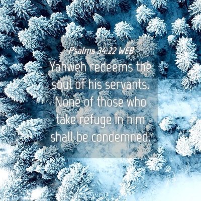 Picture 04 - Psalms 34:22 WEB - Yahweh redeems the soul of his servants. None of - Bible Verse Picture