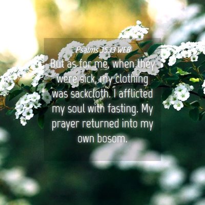 Picture 04 - Psalms 35:13 WEB - But as for me, when they were sick, my clothing - Bible Verse Picture